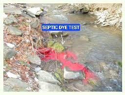 Non-toxic red dye surfacing in a creek during a septic dye test